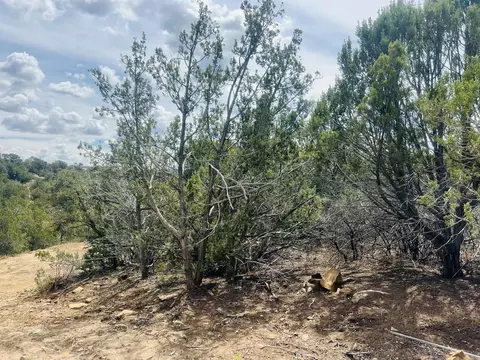 9 Boulder Ln, Cedar Crest, NM 87008 photo 15