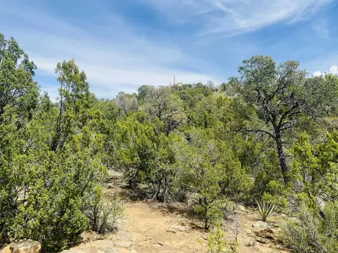 9 Boulder Ln, Cedar Crest, NM 87008 photo 8