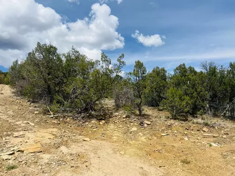 9 Boulder Ln, Cedar Crest, NM 87008 photo 10