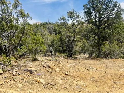9 Boulder Ln, Cedar Crest, NM 87008 photo 5