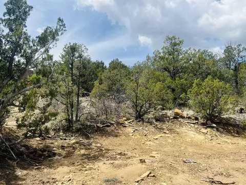 9 Boulder Ln, Cedar Crest, NM 87008 photo 21