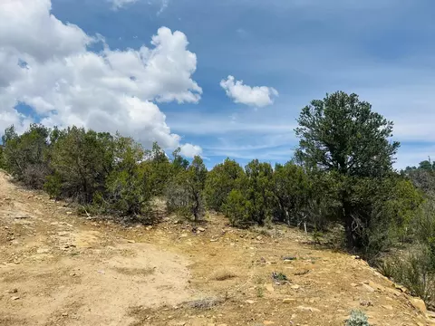 9 Boulder Ln, Cedar Crest, NM 87008 photo 22
