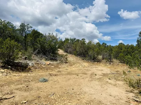 9 Boulder Ln, Cedar Crest, NM 87008 photo 19