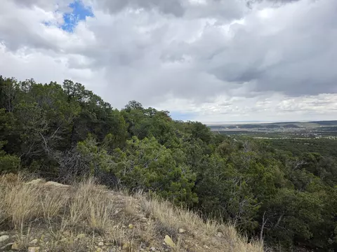 196 Via Sedillo Rd, Tijeras, NM 87059