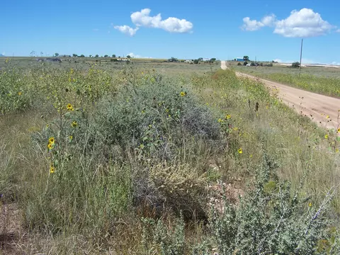 0 Gallowaybelgian Ave, Moriarty, NM 87035