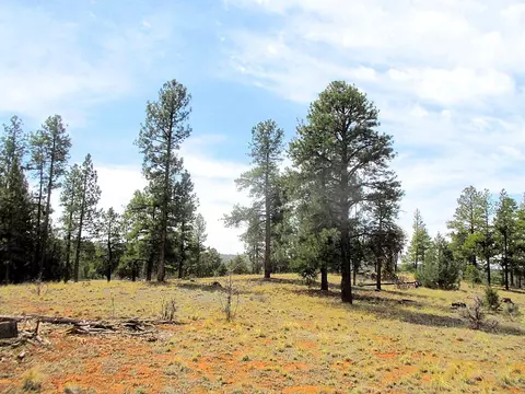 Forest Road 157, Ramah, NM 87321