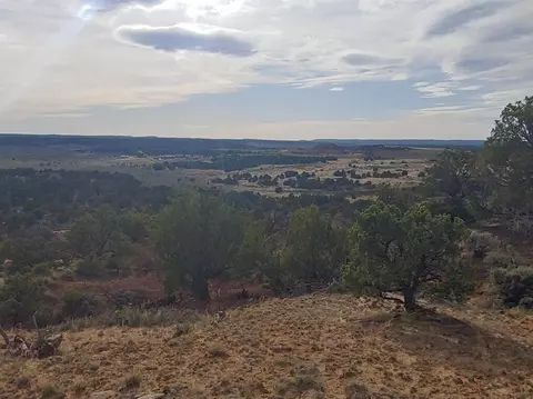 State Highway 595, Lindrith, NM 87029