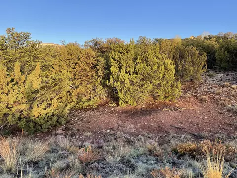 15 Tigua Dr, Sandia Park, NM 87047