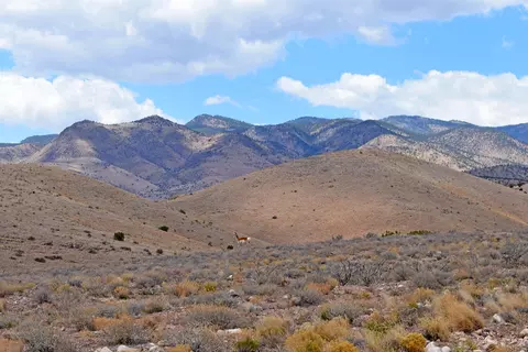 lot7 Painted Horse Rd, San Antonio, NM 87832