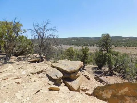 lot71 Alexis Rd, Pie Town, NM 87827