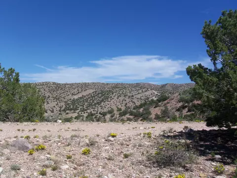 56 Camino De Las Brisas, Placitas, NM 87043