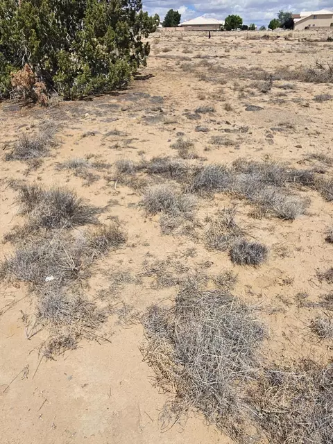 zeidman avenue nw, Albuquerque, NM 87114