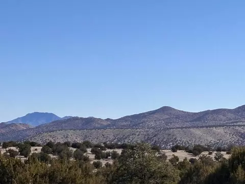 lot174 Pinon Spgs, Magdalena, NM 87825