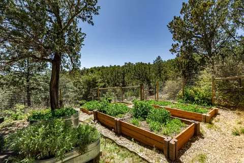 Exterior - 5 Sonata Ct, Cedar Crest, NM 87008 photo 8 of 11