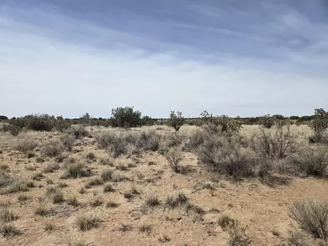 greystone loop, Rio Rancho, NM 87144