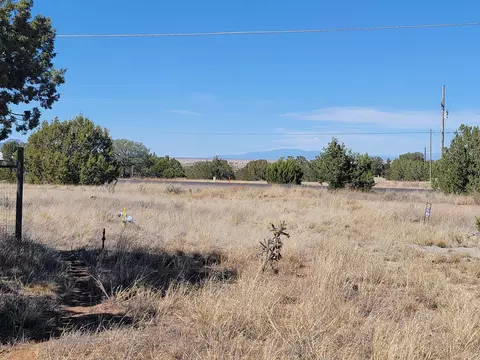 2006 Nm 333, Edgewood, NM 87015