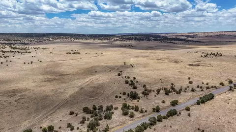 New Mexico 246, Capitan, NM 88316