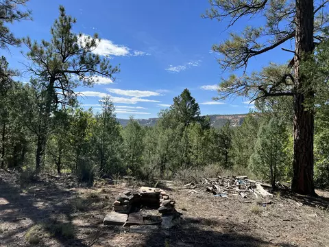 18 Quail Dr, Ramah, NM 87321