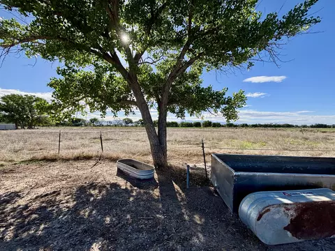 Noah Lane, Belen, NM 87002