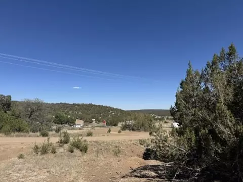 Fire Break Road, Edgewood, NM 87015