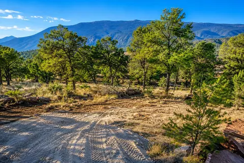 42 Calle Conejo Rd, Tijeras, NM 87059