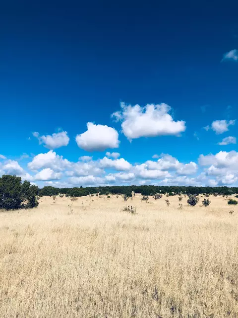 Mission Hills Lot 10, Estancia, NM 87016