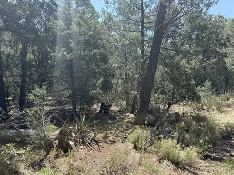 17 Andromeda Ln, Tijeras, NM 87059