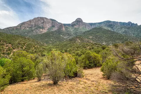 Crest View Trail, Albuquerque, NM 87122