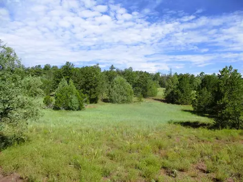 lot S 5 6 Black Bear Rd, Ramah, NM 87321