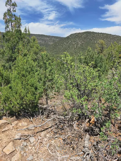 14 Skyline Drive, Sandia Park, NM 87047