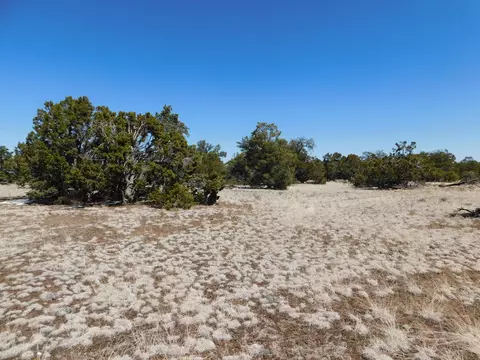 lot26 Spring Canyon Cir, Quemado, NM 87829