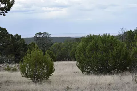 184 Sunlight Rd, Edgewood, NM 87015
