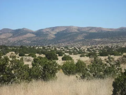 lot188 Pinon Springs Rnch, Magdalena, NM 87825