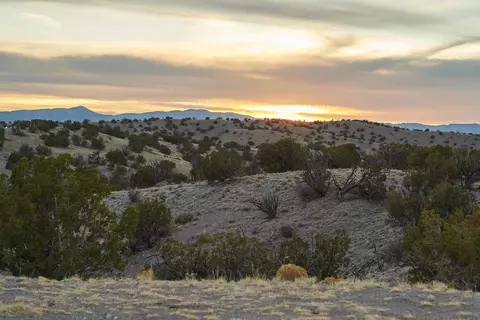 Abbe Springs Ranches Lot 115, Magdalena, NM 87825