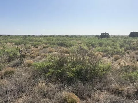 lot48 State Road 203, Fort Sumner, NM 88119