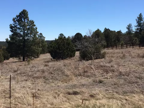 10 Woodland Ct, Tijeras, NM 87059