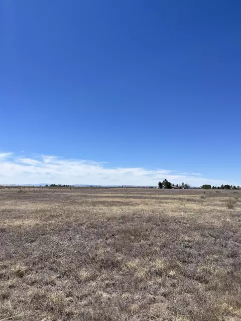 Nm Highway 55, Estancia, NM 87016