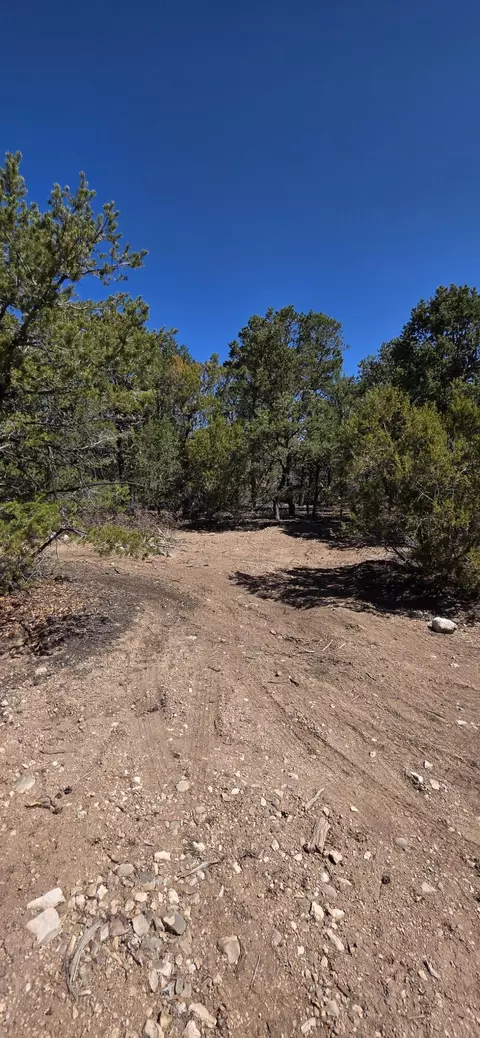 chico road, Edgewood, NM 87015