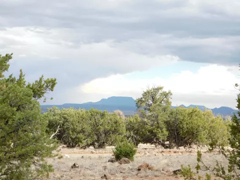 lot217 Squaw Pass, Quemado, NM 87829