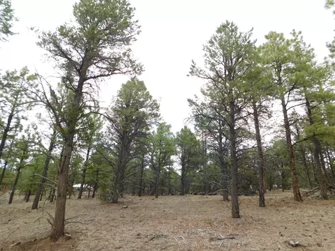 S2 Leon Dr, Quemado, NM 87829