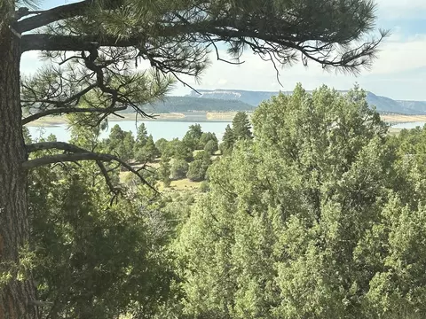 000 Canyon Rd, Los Ojos, NM 87551