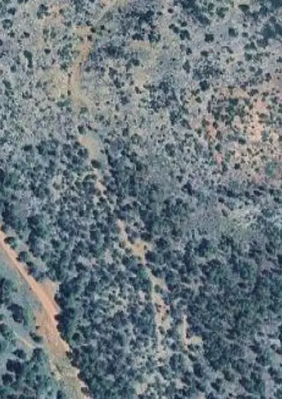 lot22 La Jara Spgs, Estancia, NM 87016