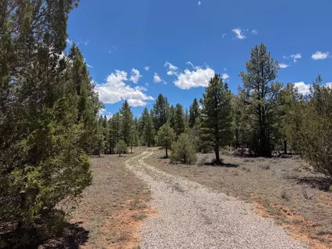 lot7 8 Cottonwood Ln, Ramah, NM 87321