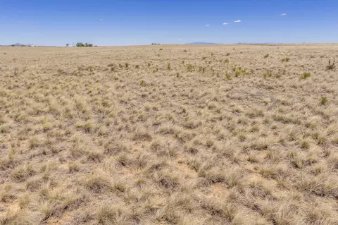 33 Roach Rd, Stanley, NM 87056 photo 19