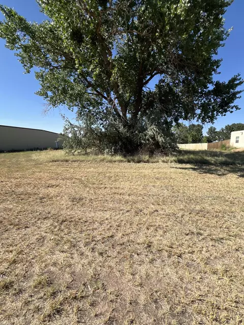 Hathaway Circle, Los Lunas, NM 87031