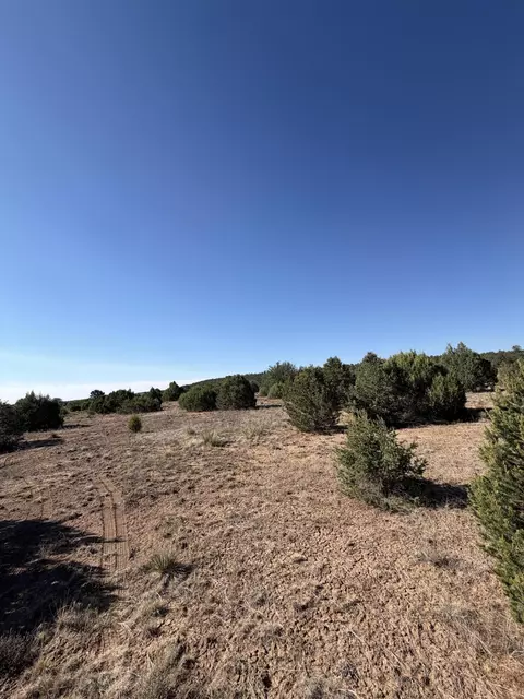 16 Tr A-1234land Of Augustine Dr NE, Tijeras, NM 87059