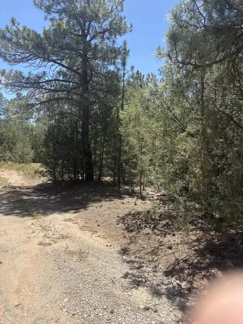 31 Armin Rd, Tijeras, NM 87059