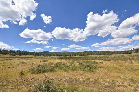 Tract 4&a Wetherill Cabin Sites, Coyote, NM 87017