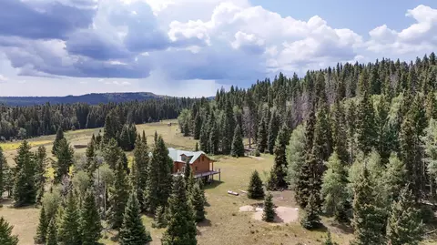 tbd Usfs Road 93, Tres Piedras, NM 87577
