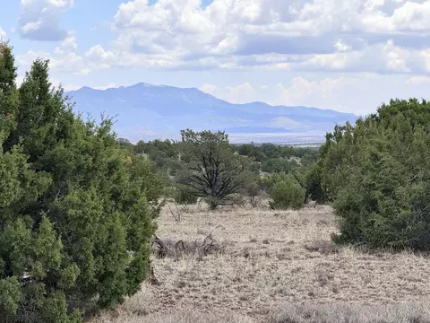 lot155 Pinon Spgs, Magdalena, NM 87825